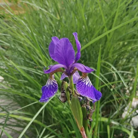Ruhe Am Wald - Zentral Und Woerthersee דירה