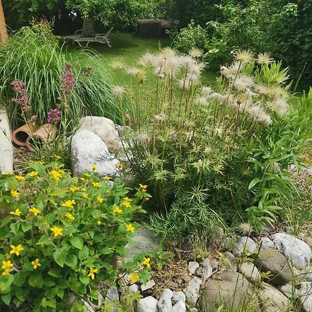 Ruhe Am Wald - Zentral Und Woerthersee Apartmán *