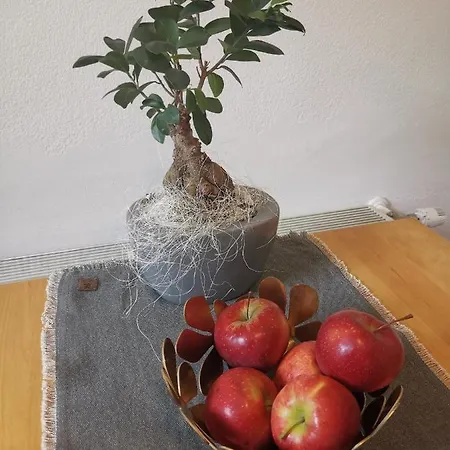 Apartmán Ruhe Am Wald - Zentral Und Woerthersee