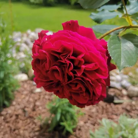 شقة Ruhe Am Wald - Zentral Und Woerthersee