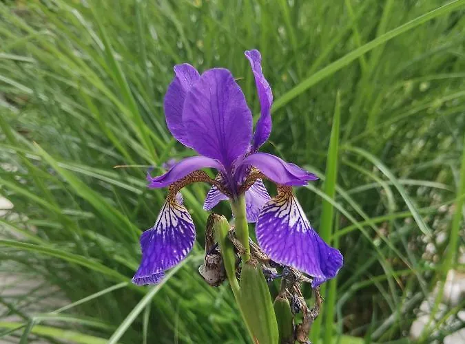 Ruhe Am Wald - Zentral Und Woerthersee Апартаменты