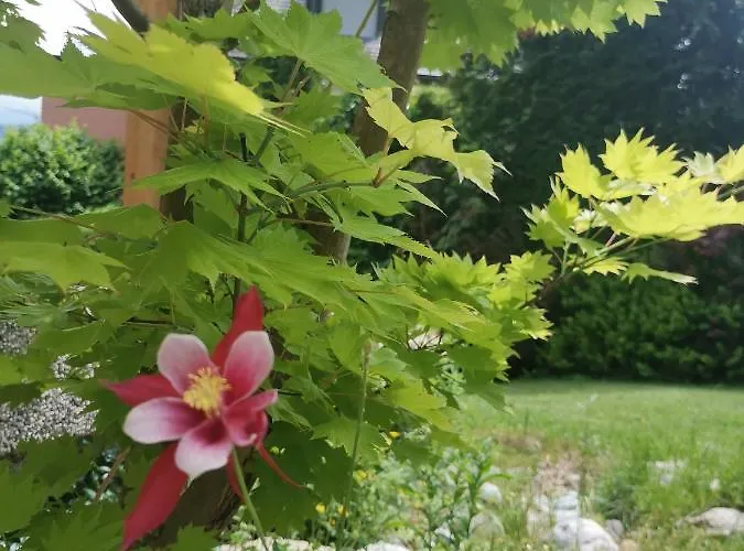 Ruhe Am Wald - Zentral Und Woerthersee * קלגנפורט