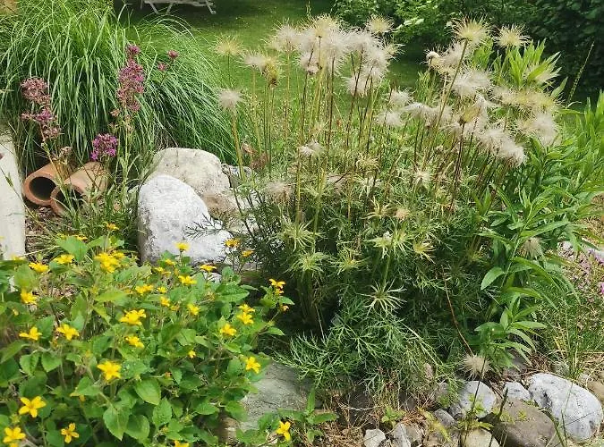 Ruhe Am Wald - Zentral Und Woerthersee Apartamento *