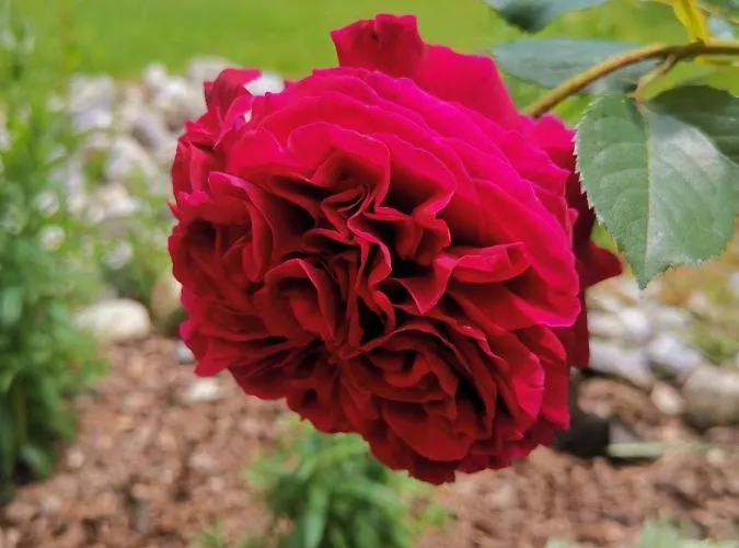 Apartamento Ruhe Am Wald - Zentral Und Woerthersee